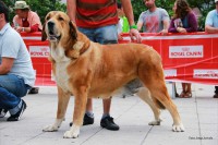 /album/luna-de-abarrio/normal-luna-de-abarrio-%28exc-9%c2%aa%29-jpg1/