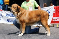 /album/luna-de-abarrio/normal-luna-de-abarrio-exc-2-jpg/