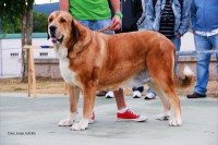 /album/luna-de-abarrio/normal-luna-de-abarrio-exc-0-jpg/